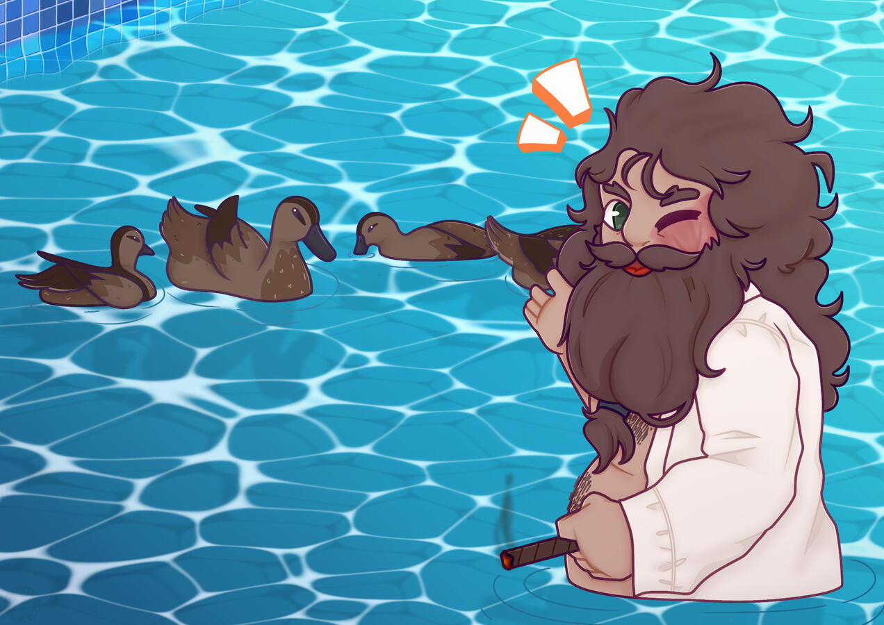 Illustration Commssion